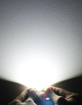 C5W 36mm LED 9Smd Luci Targa Canbus Bianco 6000K